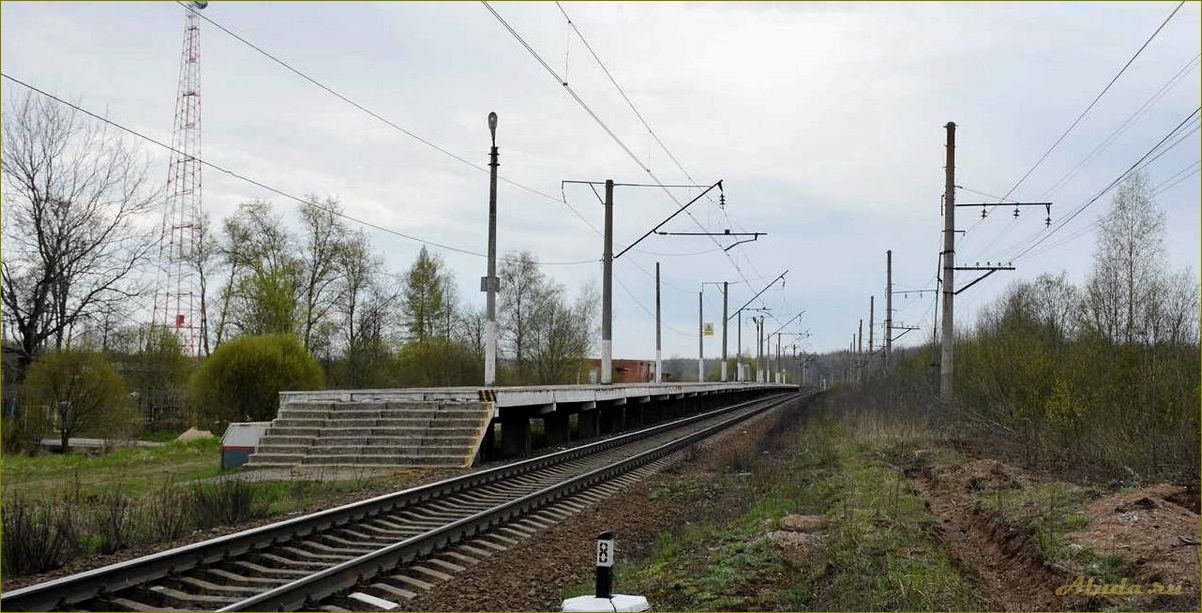 Трегубово — удивительные достопримечательности Новгородской области, которые стоит посетить