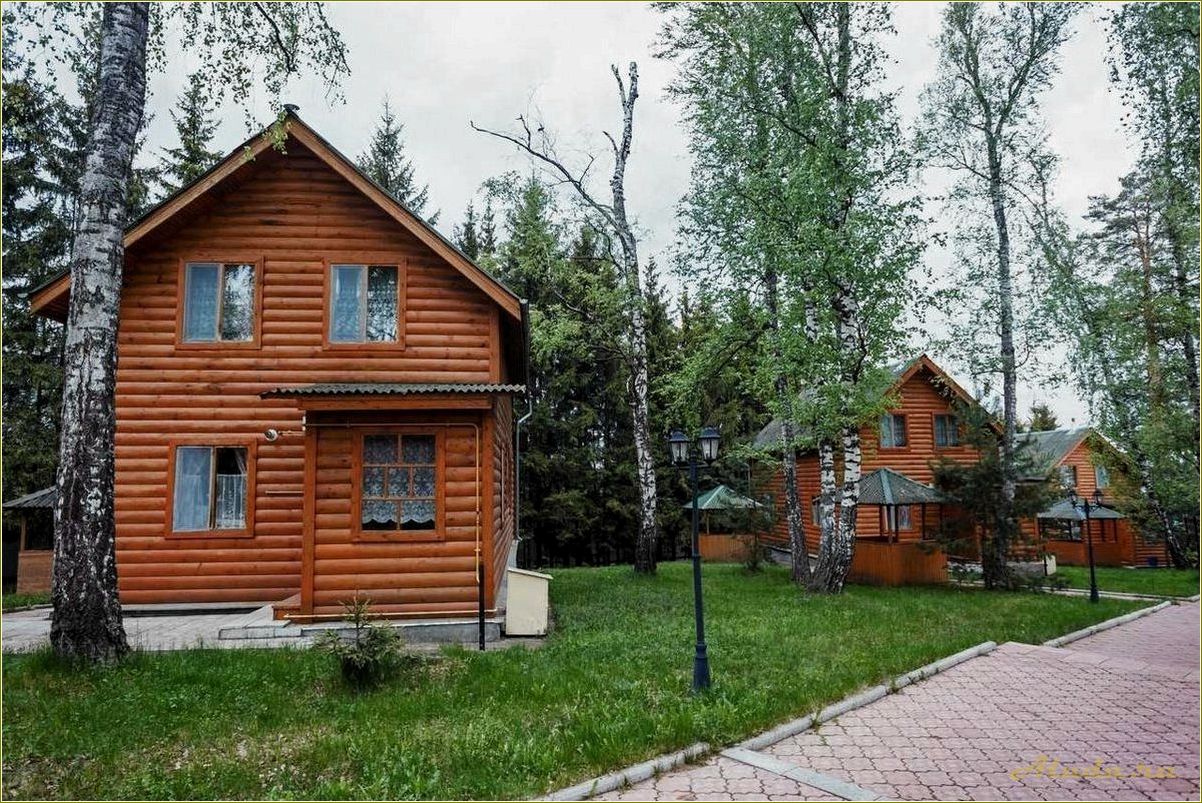 Тульская область: отдых в домиках