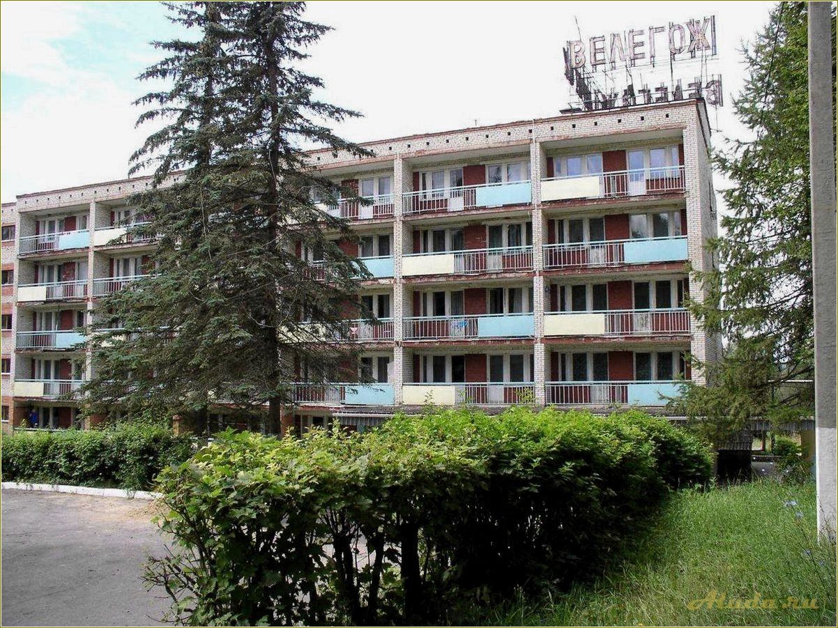 Дом отдыха в Тульской области: отличное место для отдыха и развлечений