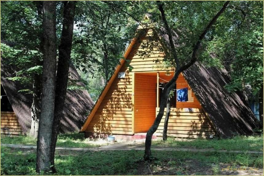 Лучшие турбазы самарской области для семейного отдыха с детьми — комфорт, развлечения и безопасность