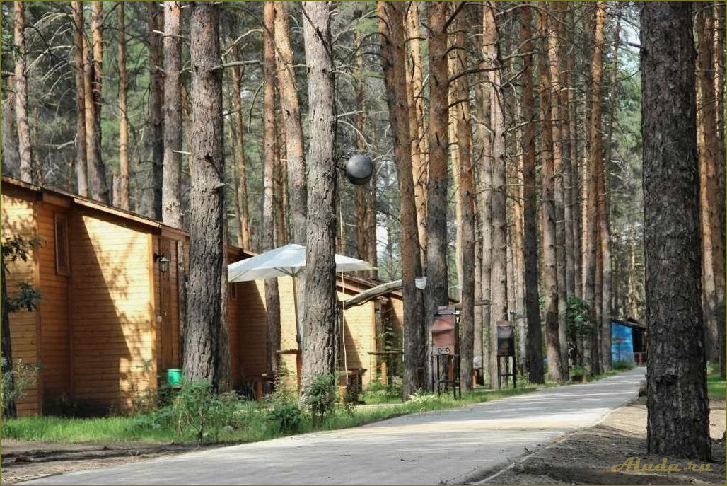 Ульяновская область база отдыха чайка
