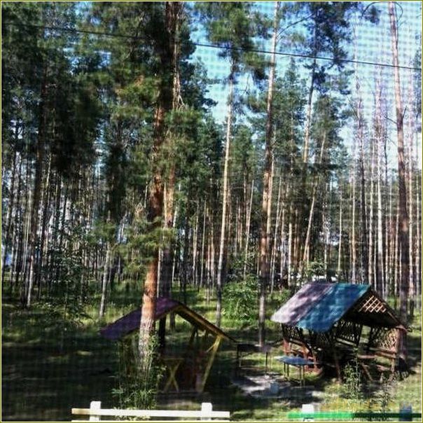 Ульяновская область база отдыха чайка