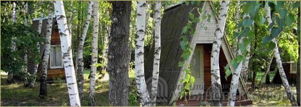 Ульяновская область база отдыха чайка