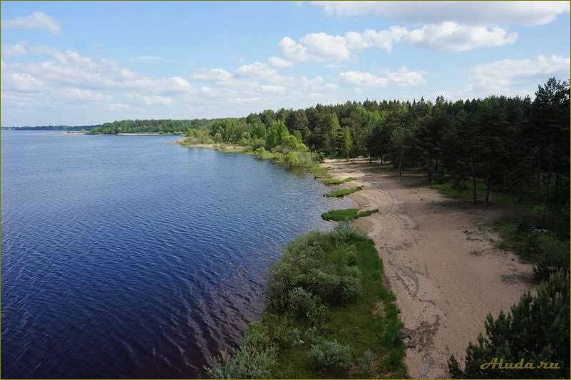 (хвойная, новгородская, область, база, отдыха) Хвойная новгородская область база отдыха — идеальное место для отдыха на природе