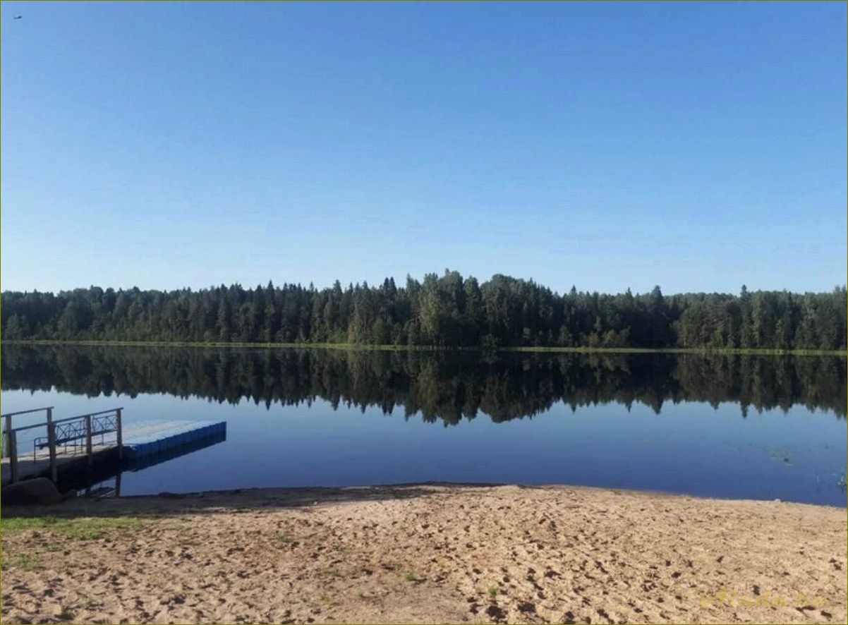 (хвойная, новгородская, область, база, отдыха) Хвойная новгородская область база отдыха — идеальное место для отдыха на природе