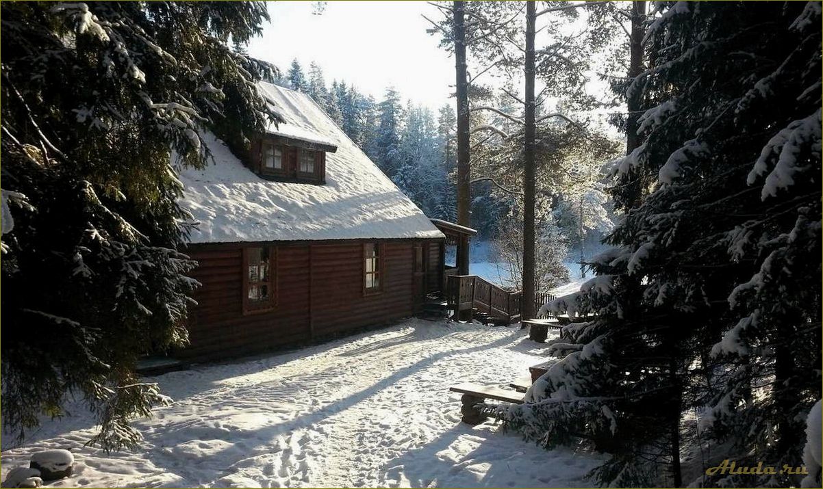 (хвойная, новгородская, область, база, отдыха) Хвойная новгородская область база отдыха — идеальное место для отдыха на природе