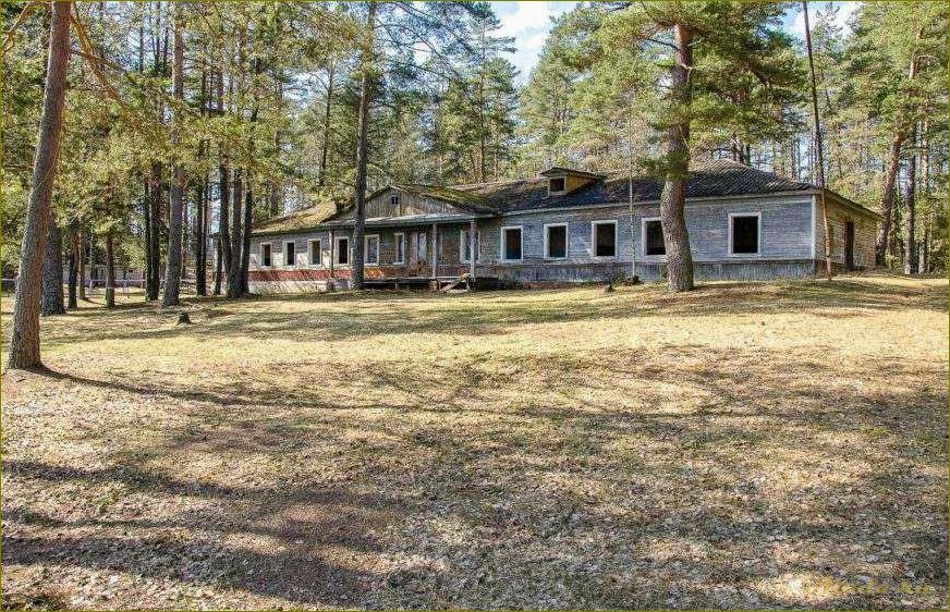 (хвойная, новгородская, область, база, отдыха) Хвойная новгородская область база отдыха — идеальное место для отдыха на природе