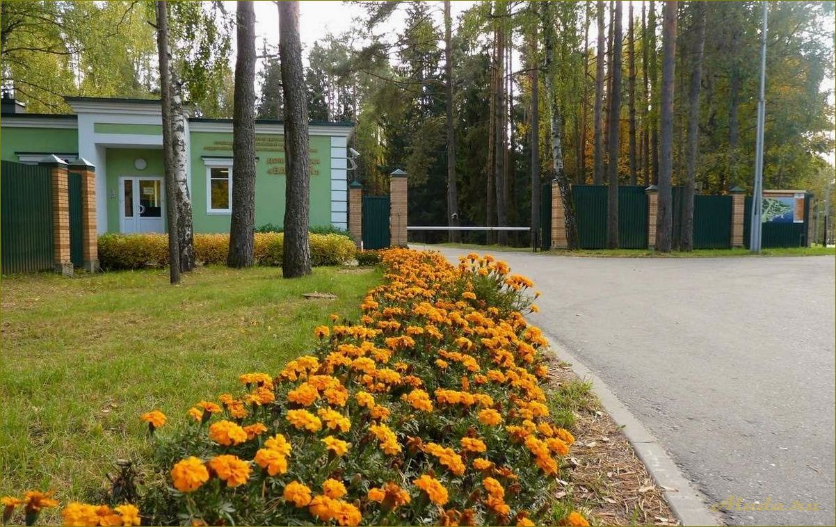 (хвойная, новгородская, область, база, отдыха) Хвойная новгородская область база отдыха — идеальное место для отдыха на природе