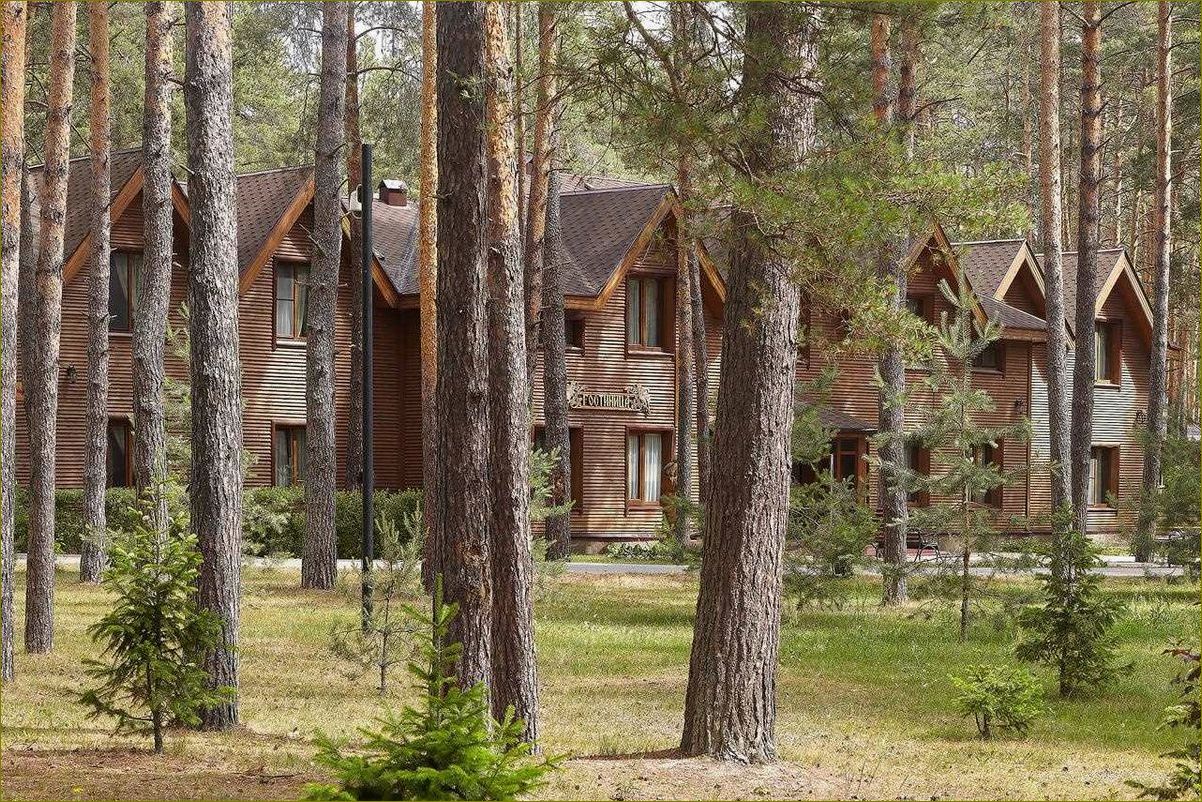 Идеальные загородные отели Владимирской области для незабываемого отдыха в окружении природы и комфорта
