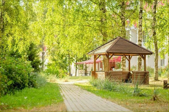 База отдыха в Брянской области — наслаждайтесь природой в Дубровке!