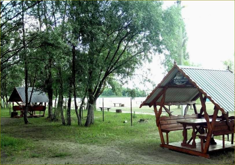 База отдыха 