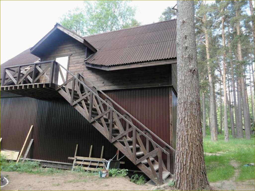 (уникальная, база, отдыха, суходолье, ленинградской) Уникальная база отдыха