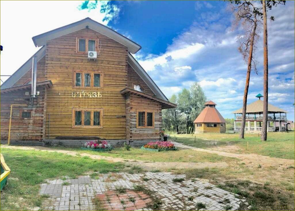 Уникальная база отдыха в живописном Боброве Воронежской области — идеальный выбор для полноценного отдыха и разнообразных активностей