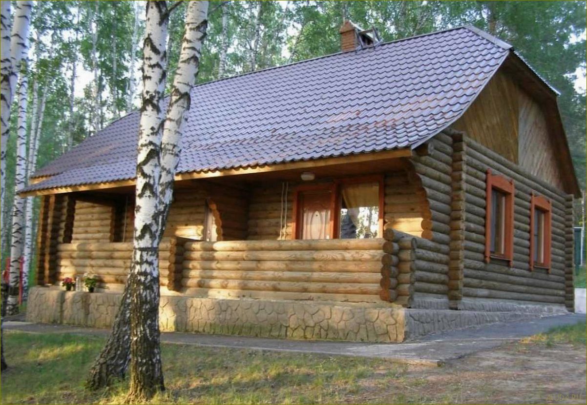 Самые популярные базы отдыха в Липецке и Липецкой области — полный список, описания, цены и отзывы