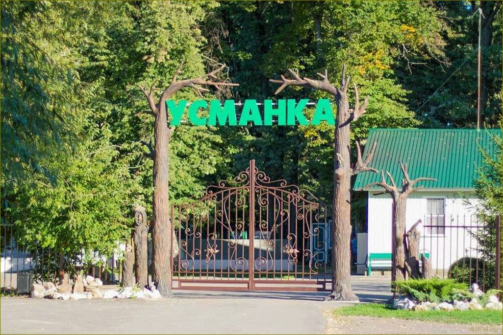 Лучшие базы отдыха в усманском районе Воронежской области — идеальное место для отдыха и релаксации в окружении природы!