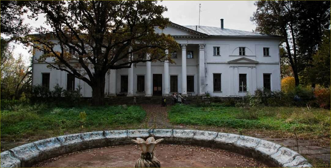 Ильинское — Московская область, достопримечательности, отдых, природа