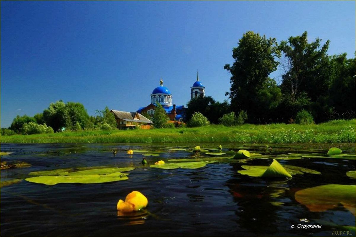(отдых, мещерах, владимирской, области, лучшие) Отдых в мещерах Владимирской области — лучшие маршруты, достопримечательности и комфортные условия проживания