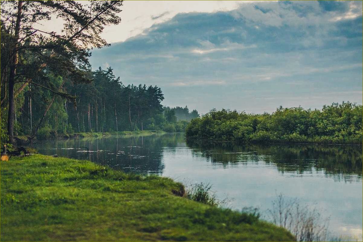 (отдых, мещерах, владимирской, области, лучшие) Отдых в мещерах Владимирской области — лучшие маршруты, достопримечательности и комфортные условия проживания