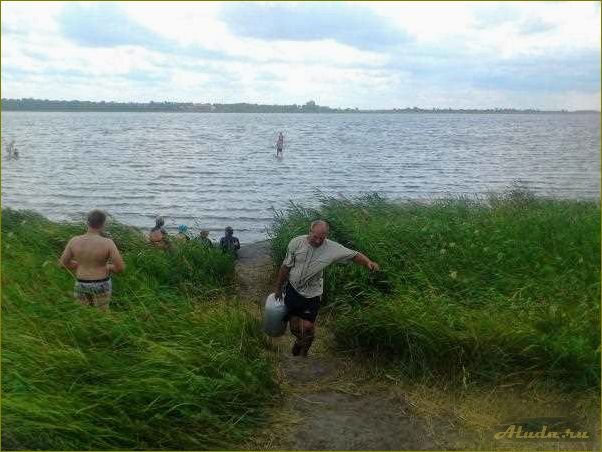Отдых на чанах новосибирской области — расслабление в гармонии с природой и восторженные отзывы дикарей