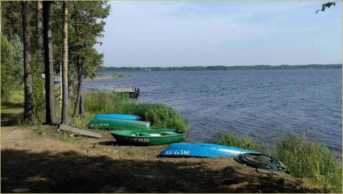 Отдых в Тверской области с пляжем