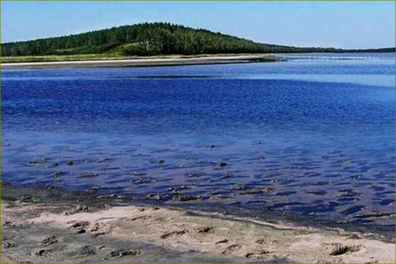 Незабываемый отдых среди природы и культурного наследия в медвежке Курганской области