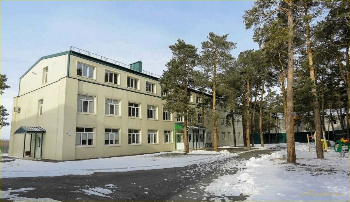 Лучшие отзывы о доме отдыха в Омской области — наслаждайтесь красотой природы и комфортом!