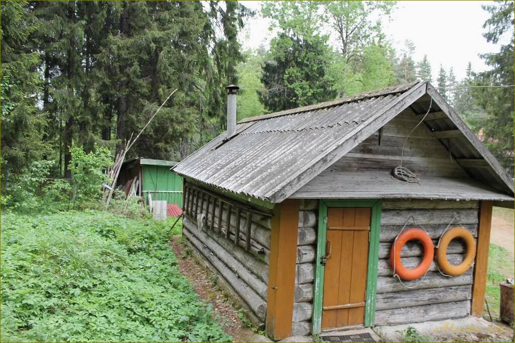 Прекрасная возможность работы на базе отдыха в живописной новгородской области — откройте для себя уникальные перспективы трудоустройства в сфере гостеприимства и туризма!