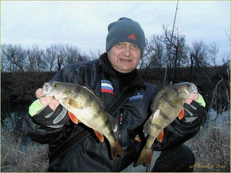 Рыбалка в Тульской области: лучшие базы отдыха и уютные места для рыбалки