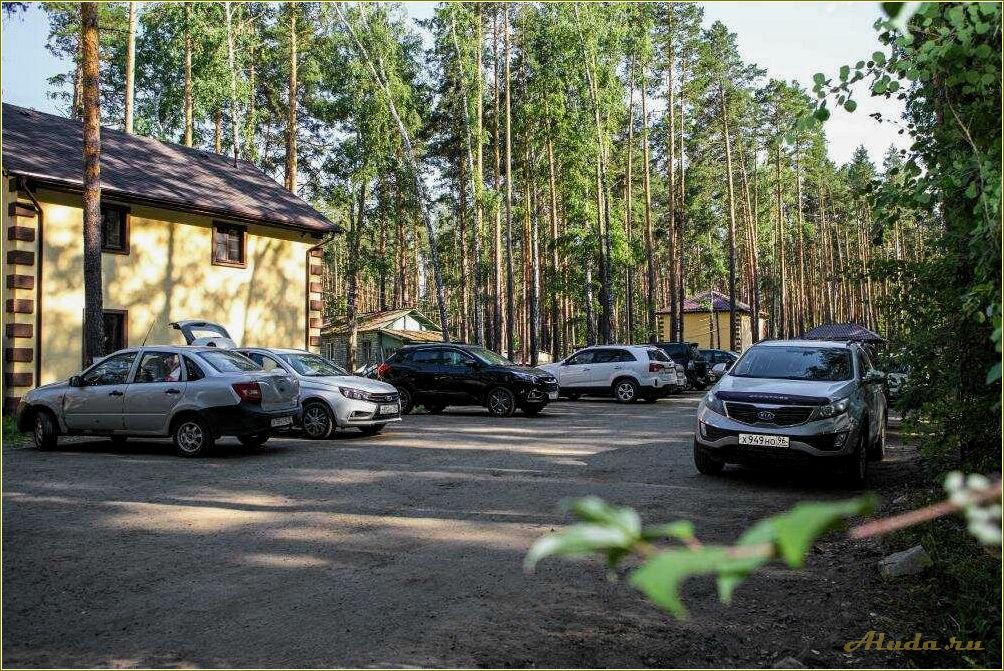 Россия Свердловская область городской округ Заречный база отдыха Купава