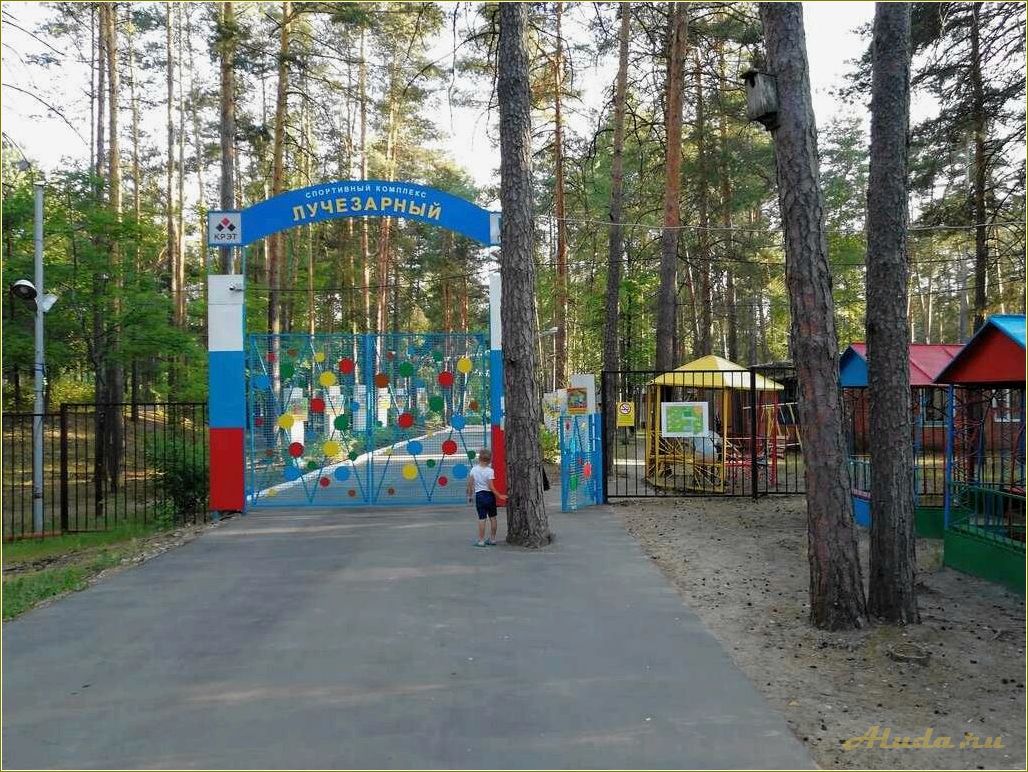 Рязанская область — лагеря отдыха для всех возрастов и интересов