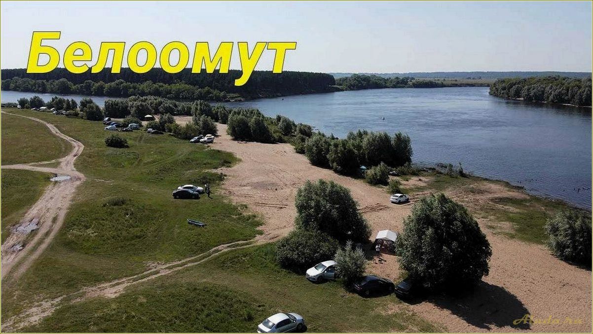 Рязанская область — идеальное место для отдыха и релаксации в окружении уникальной природы
