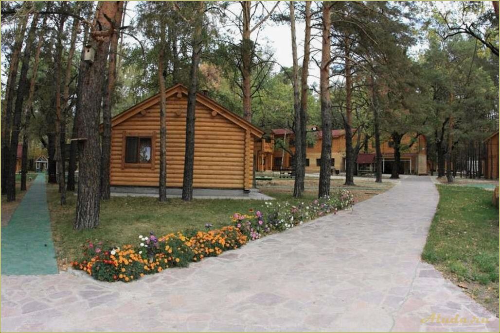 Самарская область — отдых в августе, где насладиться летом на полную катушку!