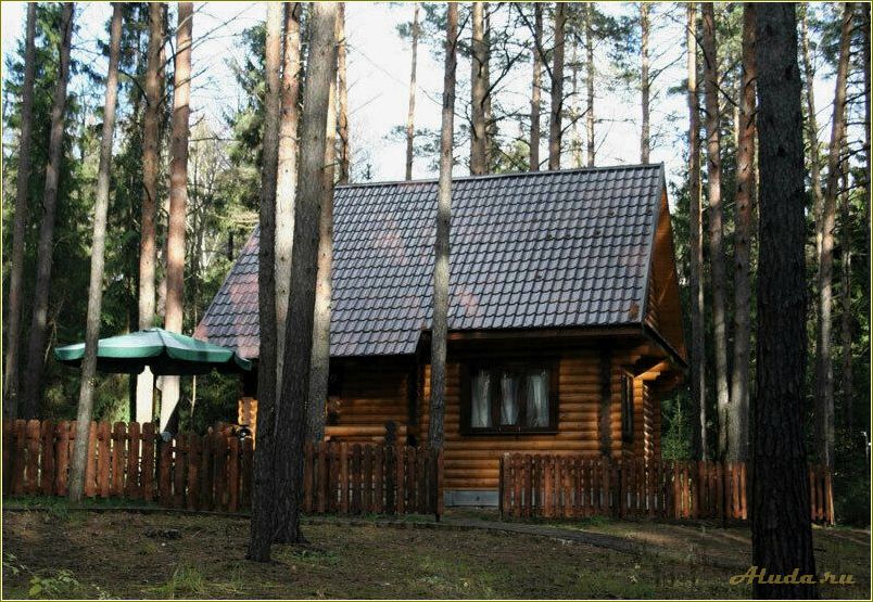 Селижарово Тверская область база отдыха