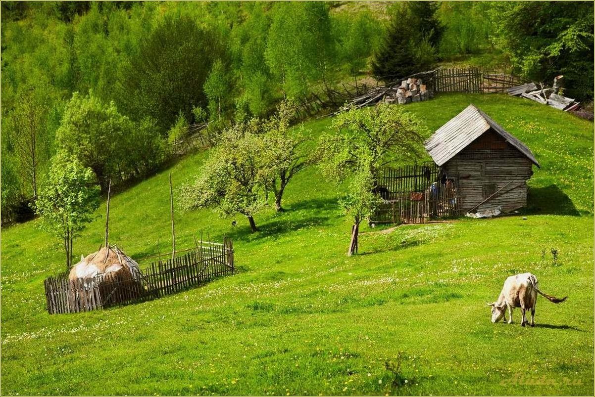 Сельский туризм в Свердловской области