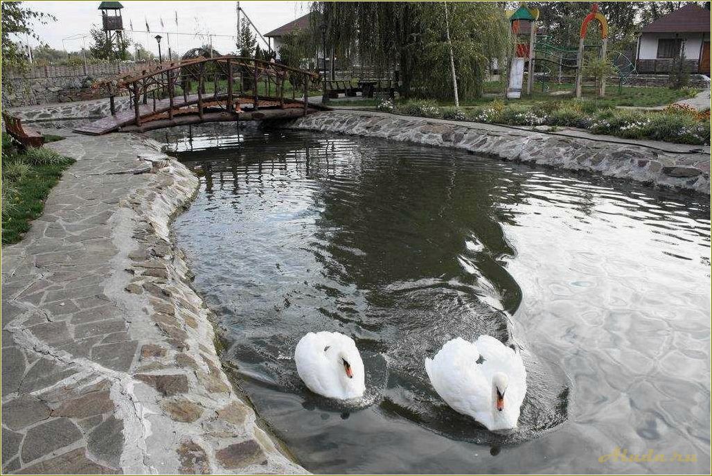 Отдых в Семикаракорах — наслаждайтесь красотами природы Ростовской области