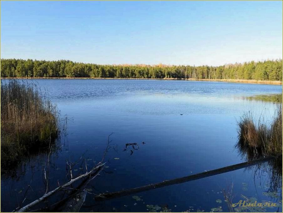 Томская область: озера для отдыха
