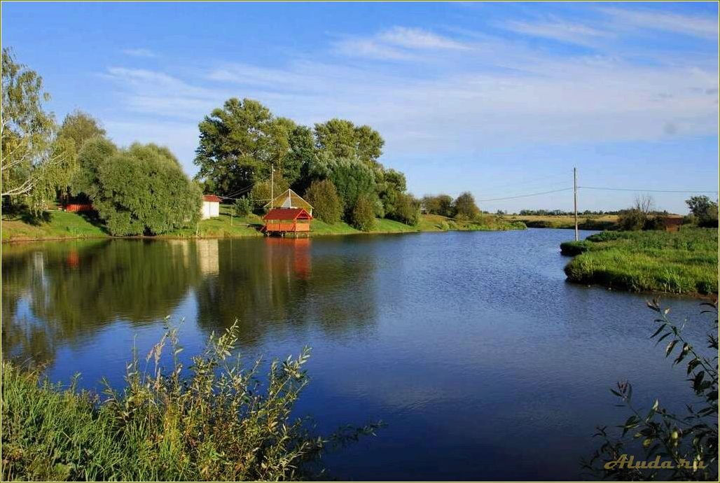 Отдых в Тульской области на берегу Заокского водохранилища