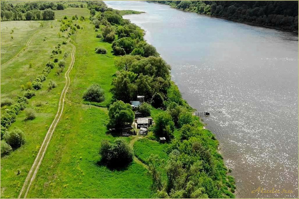 Отдых в Тульской области на берегу Заокского водохранилища