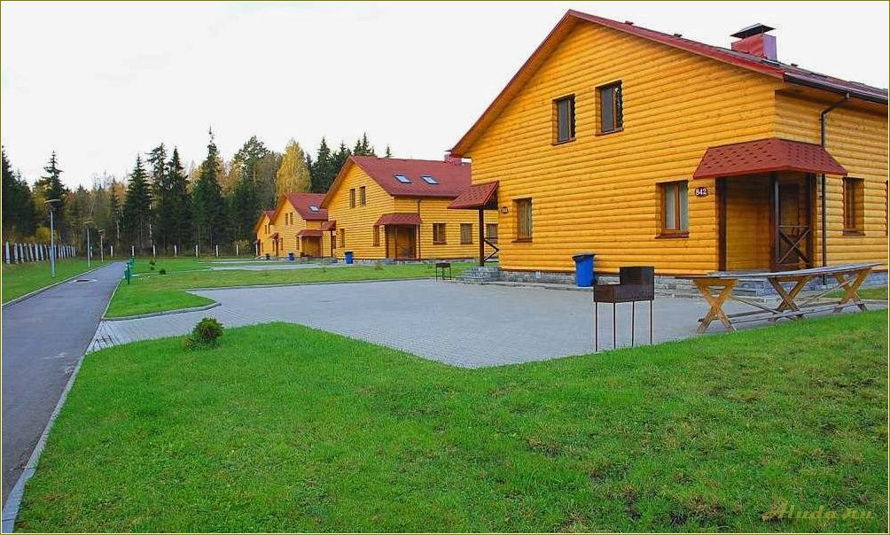 Отдых в Тверской области: наслаждайтесь природой и наблюдайте за иволгами