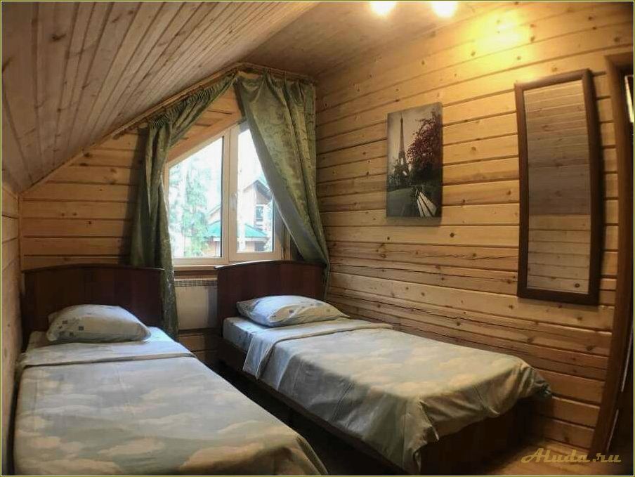 Отдых в Тверской области: наслаждайтесь природой и наблюдайте за иволгами
