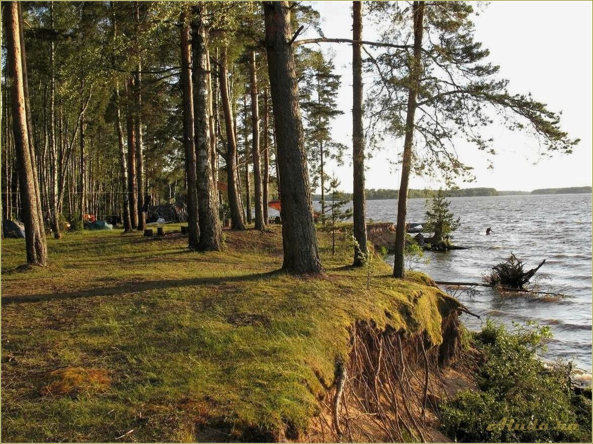 (тверская, область, водохранилище, отдых) Тверская область: водохранилище и отдых