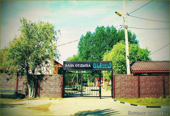 (база, отдыха, губкине, белгородская, область) База отдыха в Губкине, Белгородская область — идеальное место для релакса и активного отдыха на природе