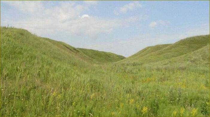 (база, отдыха, губкине, белгородская, область) База отдыха в Губкине, Белгородская область — идеальное место для релакса и активного отдыха на природе