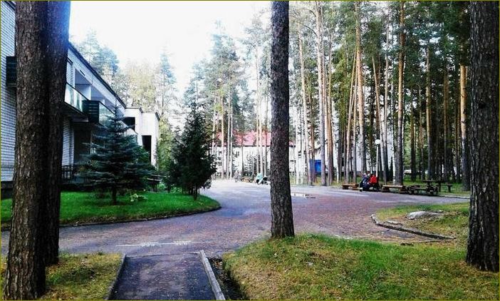 Идеальное место для отдыха и восстановления сил — база отдыха или санаторий в прекрасной Владимирской области