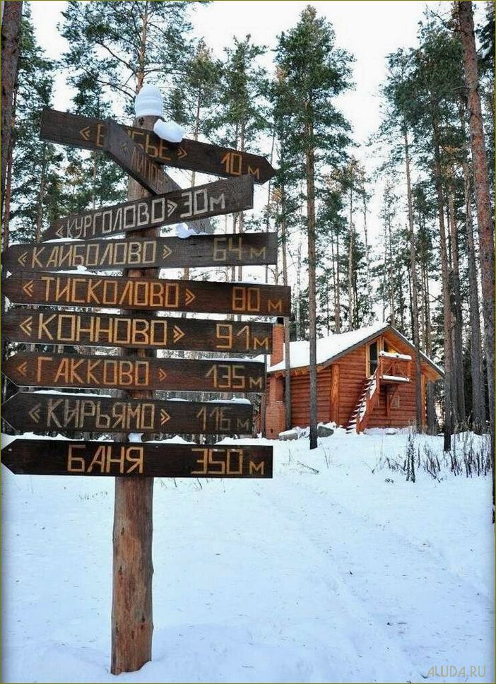 (уникальная, база, отдыха, живописном, уголке) Уникальная база отдыха в живописном уголке Ленинградской области — идеальное место для отдыха и развлечений!