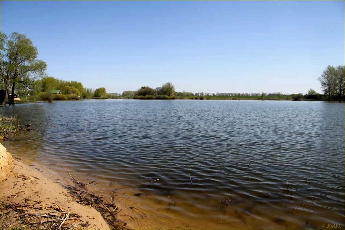 Уникальная база отдыха в живописном Орлово Воронежской области — комфорт, развлечения и незабываемые впечатления