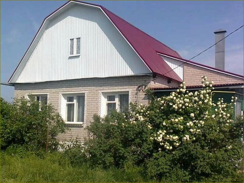 Уникальная база отдыха в живописном Орлово Воронежской области — комфорт, развлечения и незабываемые впечатления
