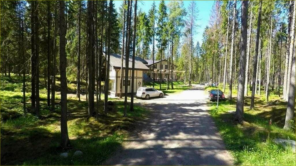 (база, отдыха, ильичево, ленинградская, область) База отдыха в Ильичево, Ленинградская область — отличный вариант для комфортного и незабываемого отдыха в окружении природы