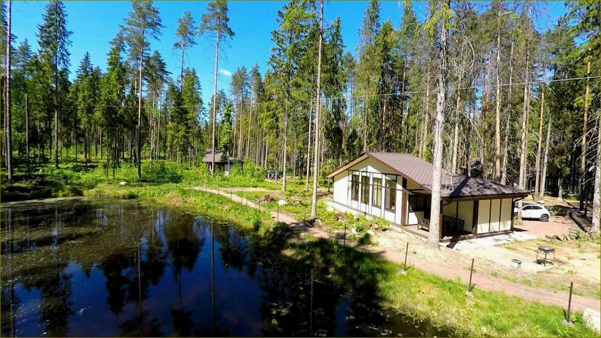 (база, отдыха, ильичево, ленинградская, область) База отдыха в Ильичево, Ленинградская область — отличный вариант для комфортного и незабываемого отдыха в окружении природы