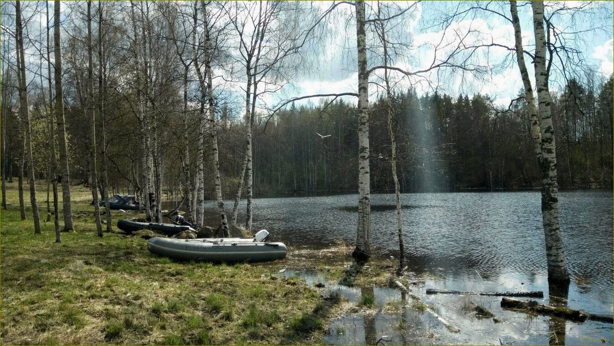 (база, отдыха, любимовске, идеальное, место) База отдыха в Любимовске — идеальное место для отпуска в Ленинградской области
